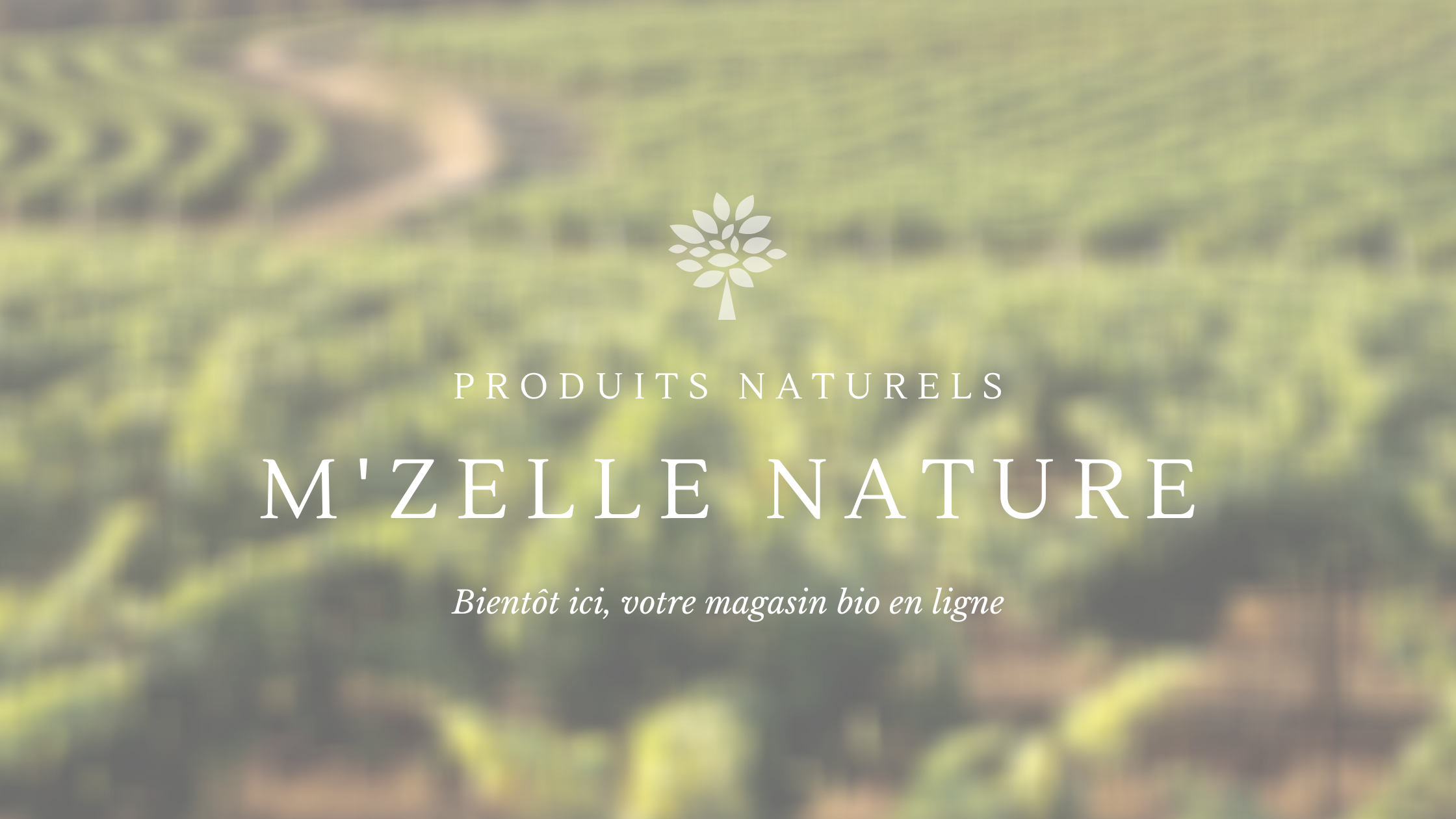 Magasin Bio Produits Naturels